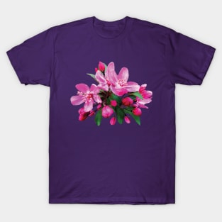 Cherry Blossoms - Two Cherry Blossoms And Buds T-Shirt